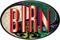 BIRN logo