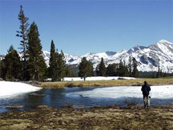 Yosemite