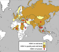 Areas of Asia with incidence of Avian flu