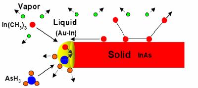 Growth Mechanism