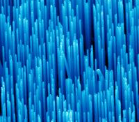 Zinc Oxide Nanowires