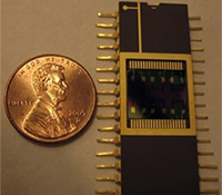 Electronic sensor chip