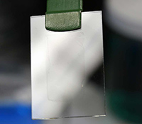 Single layer of graphene on a slide