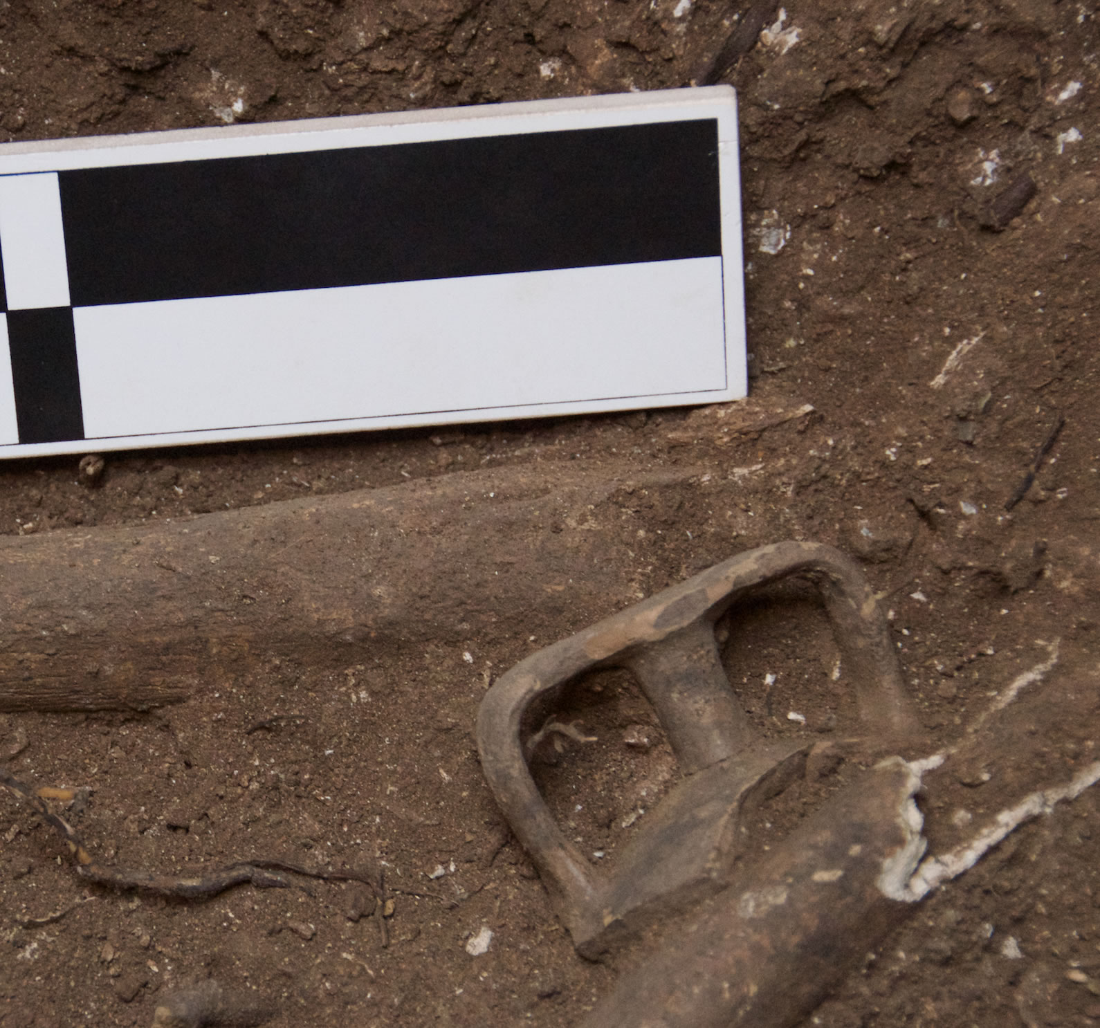 Part of Mycenaean stirrup jar found with human remains