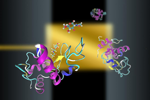 Protein ligand interaction