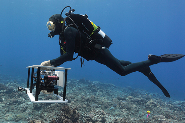 Scripps diver canvasses section of coral reef on Palmyra Atoll.