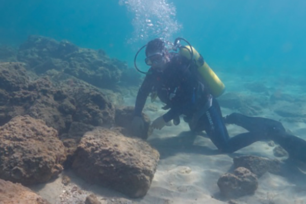 Archaeological diver at 2nd or 1st millennium BCE stone anchors in bay near Tel Dor, Israel.