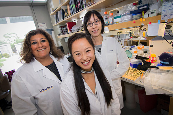 This summer UC San Diego senior Mandy Che is conducting research in the Department of Medicine in th