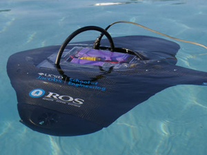 The Stingray is equipped with forward- and down-looking cameras,  a high-intensity  lighting apparatus, a piezoelectric-film based sonar system, inertial navigational sensors and custom-designed software.